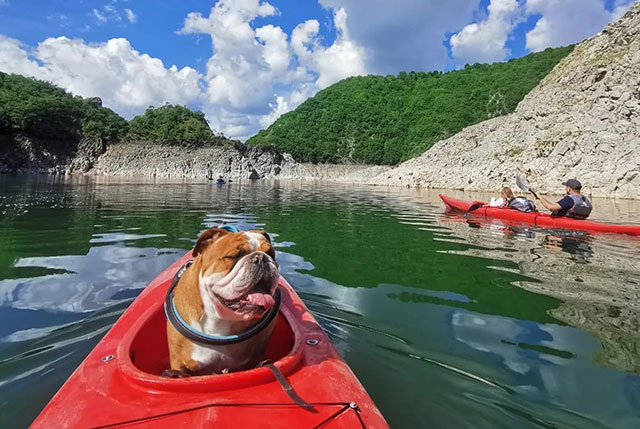 Kayak